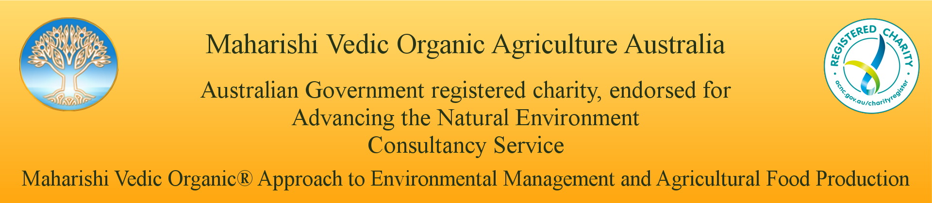 Maharishi Vedic Organic Honey
